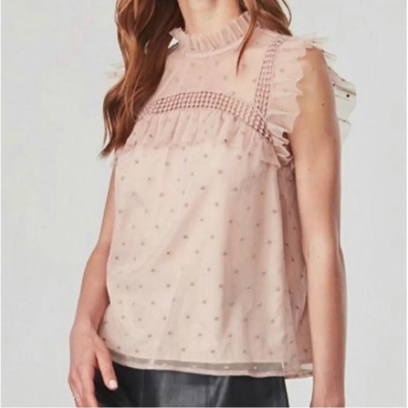 BB Dakota Tops - BB Dakota Roslyn Women’s S Victorian Blush Swiss Dot Crochet Ruffle Blouse